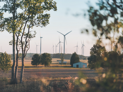 Les fermes éoliennes en zone rurale : comment limiter les nuisances sonores et protéger les oiseaux sans réduire la production